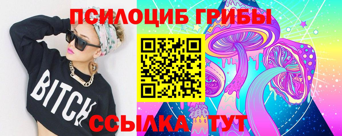 Псилоцибиновые грибы Psilocybe Орск